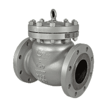 Swing Check Valves Manufacturer & Supplier in India
